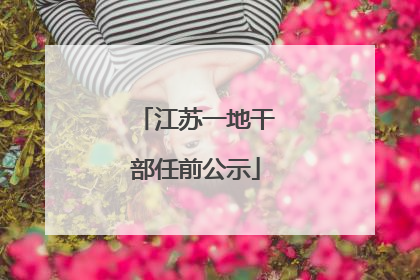 江苏一地干部任前公示