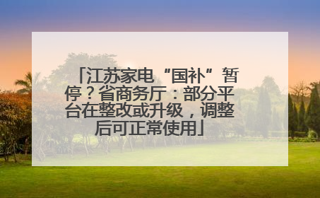 江苏家电“国补”暂停？省商务厅：部分平台在整改或升级，调整后可正常使用