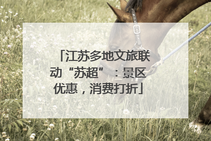 江苏多地文旅联动“苏超”：景区优惠，消费打折