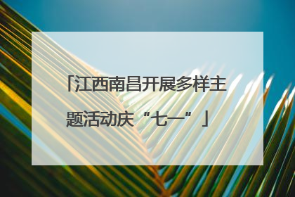 江西南昌开展多样主题活动庆“七一”