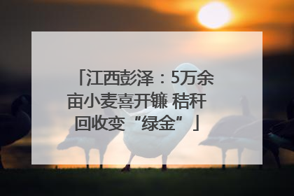江西彭泽：5万余亩小麦喜开镰 秸秆回收变“绿金”