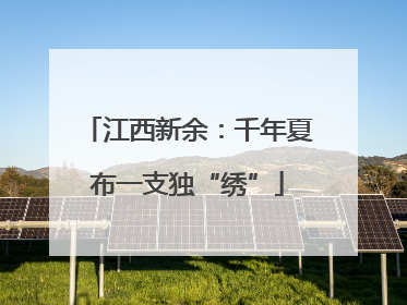 江西新余：千年夏布一支独“绣”