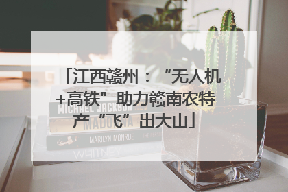 江西赣州：“无人机+高铁”助力赣南农特产“飞”出大山