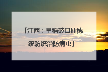 江西：早稻破口抽穗 统防统治防病虫