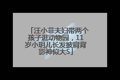 汪小菲夫妇带两个孩子逛动物园，11岁小玥儿长发披肩背影神似大S