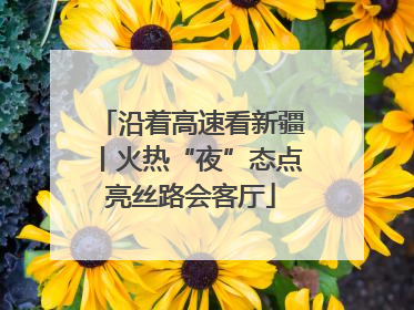 沿着高速看新疆丨火热“夜”态点亮丝路会客厅