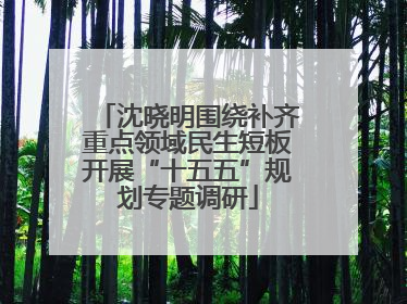 沈晓明围绕补齐重点领域民生短板开展“十五五”规划专题调研