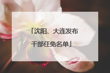 沈阳、大连发布干部任免名单