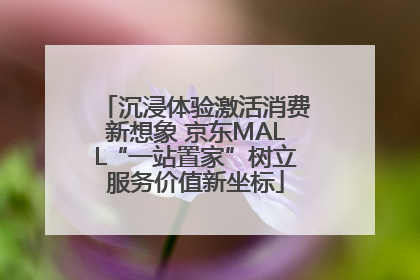 沉浸体验激活消费新想象 京东MALL“一站置家”树立服务价值新坐标