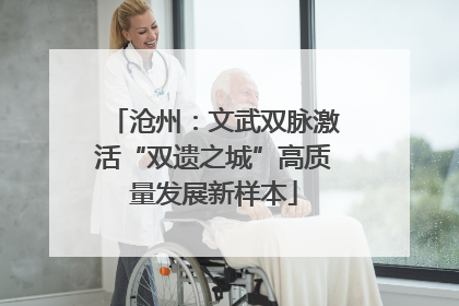 沧州：文武双脉激活“双遗之城”高质量发展新样本