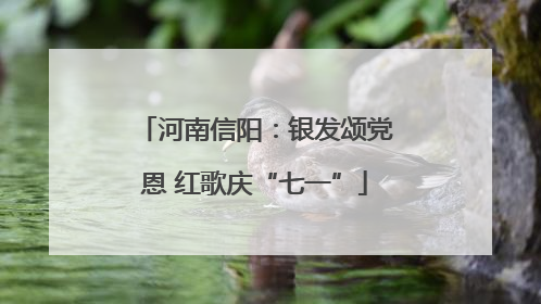 河南信阳：银发颂党恩 红歌庆“七一”