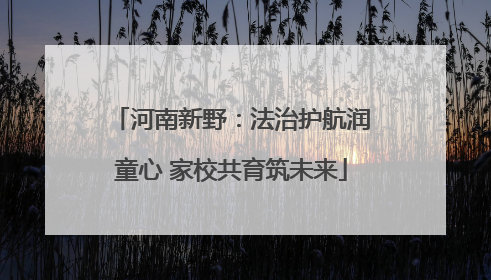 河南新野：法治护航润童心 家校共育筑未来