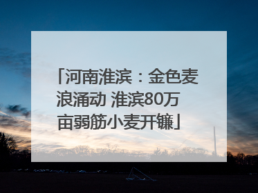 河南淮滨：金色麦浪涌动 淮滨80万亩弱筋小麦开镰