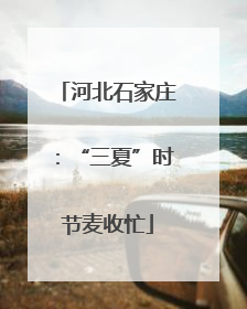 河北石家庄：“三夏”时节麦收忙