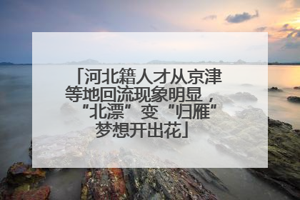 河北籍人才从京津等地回流现象明显，“北漂”变“归雁” 梦想开出花
