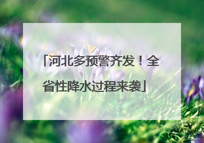 河北多预警齐发！全省性降水过程来袭