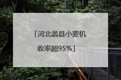 河北蠡县小麦机收率超95%