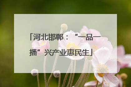 河北邯郸：“一品一播”兴产业惠民生