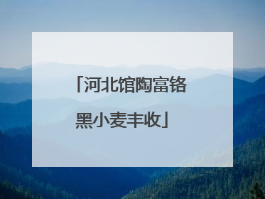河北馆陶富铬黑小麦丰收