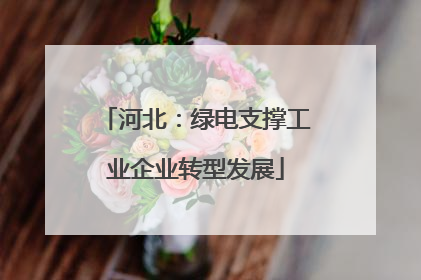河北：绿电支撑工业企业转型发展