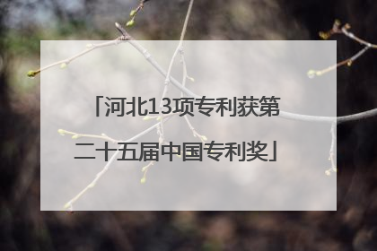 河北13项专利获第二十五届中国专利奖
