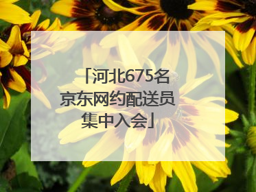 河北675名京东网约配送员集中入会