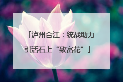 泸州合江：统战助力引活石上“致富花”
