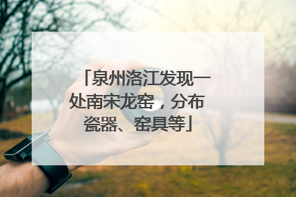 泉州洛江发现一处南宋龙窑，分布瓷器、窑具等