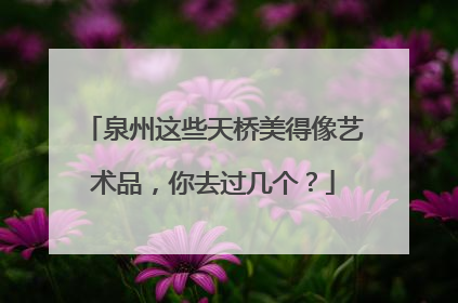 泉州这些天桥美得像艺术品，你去过几个？