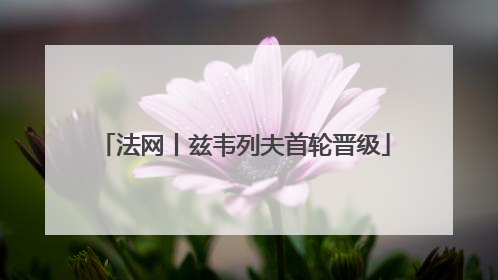 法网丨兹韦列夫首轮晋级