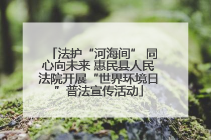 法护“河海间” 同心向未来 惠民县人民法院开展“世界环境日”普法宣传活动