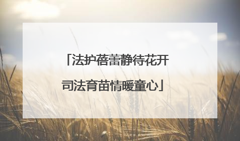 法护蓓蕾静待花开 司法育苗情暖童心