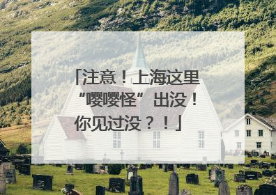 注意！上海这里“嘤嘤怪”出没！你见过没？！