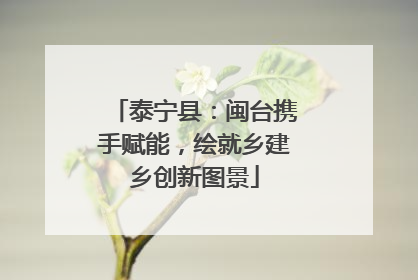 泰宁县：闽台携手赋能，绘就乡建乡创新图景