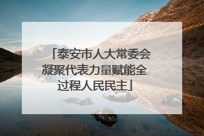 泰安市人大常委会凝聚代表力量赋能全过程人民民主