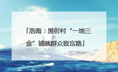 洛南：黑彰村“一地三金”铺就群众致富路