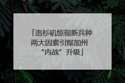 洛杉矶惊现新兵种 两大因素引爆加州“内战”升级