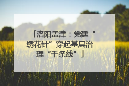 洛阳孟津：党建“绣花针”穿起基层治理“千条线”