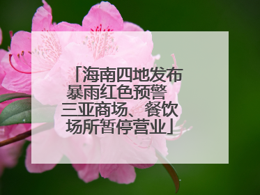 海南四地发布暴雨红色预警 三亚商场、餐饮场所暂停营业