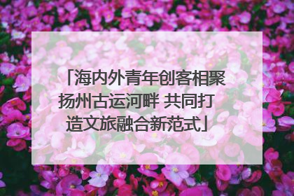 海内外青年创客相聚扬州古运河畔 共同打造文旅融合新范式