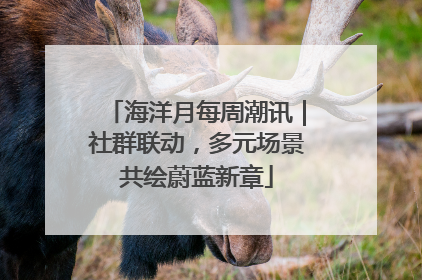 海洋月每周潮讯｜社群联动，多元场景共绘蔚蓝新章
