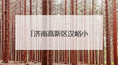 济南高新区汉峪小学：民法典进校园 构筑校园安全防线