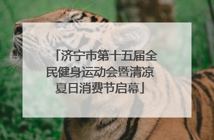济宁市第十五届全民健身运动会暨清凉夏日消费节启幕