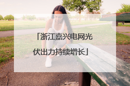 浙江嘉兴电网光伏出力持续增长