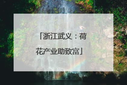 浙江武义：荷花产业助致富