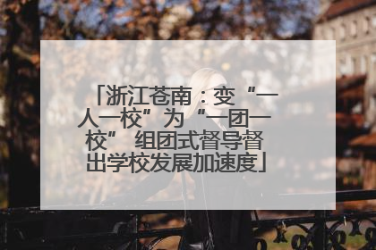 浙江苍南：变“一人一校”为“一团一校” 组团式督导督出学校发展加速度