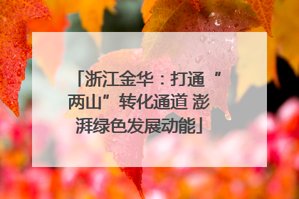 浙江金华：打通“两山”转化通道 澎湃绿色发展动能