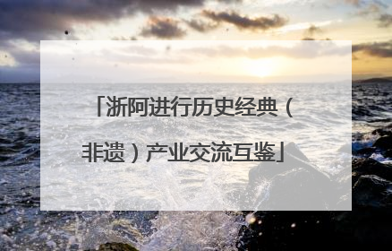 浙阿进行历史经典（非遗）产业交流互鉴