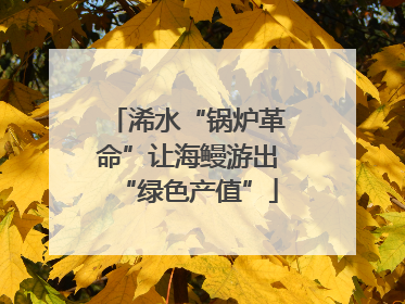 浠水“锅炉革命”让海鳗游出“绿色产值”
