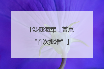 涉俄海军，普京“首次批准”